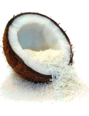 pruits Nutritifs Noix de coco